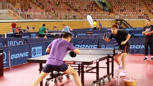Asian Table Tennis Betting: Understanding the Dynamics