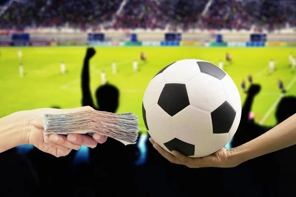 Winning with Wincasts: Strategic Bets for Euro 2024