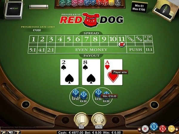 Summary of 5 Experiences Playing Online Casino Card Games for Beginners